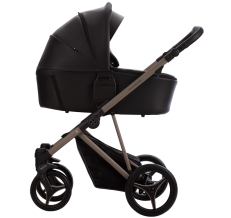 Универсальная коляска Bebetto Pelpasso Pro 04 Kashmir